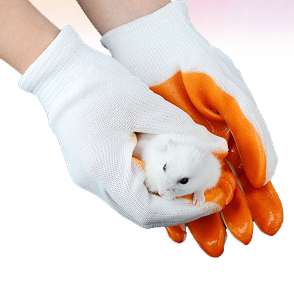 1Pair Anti-Bite Gloves for Sma - Cut Resistant Glove review and price
